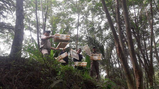 Penyeludupan Ratusan Burung Ilegal Asal Lampung Timur Berhasil Digagalkan