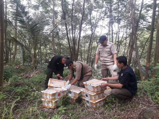 Penyeludupan Ratusan Burung Ilegal Asal Lampung Timur Berhasil Digagalkan (1)