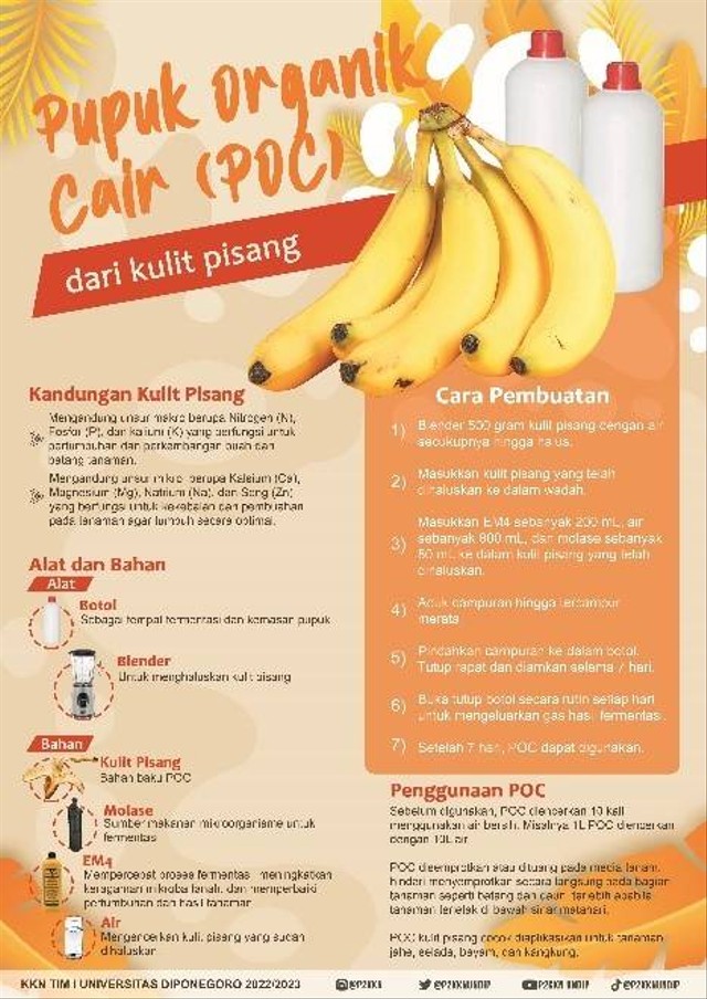 Poster pembuatan pupuk organik cair (POC) dari kulit pisang