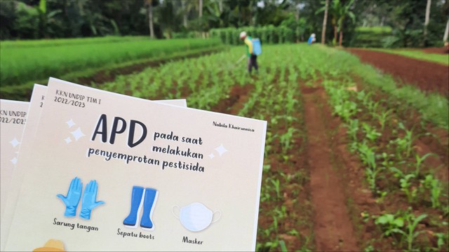 Pentingnya Penggunaan APD yang Tepat saat Melakukan Penyemprotan Pestisida