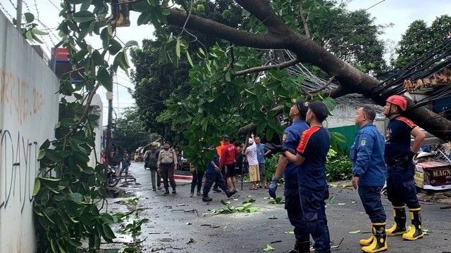 7 pohon di Bekasi tumbang kena hujan angin. Foto: Dok. Istimewa