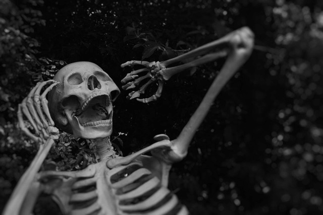 Ilustrasi Skeleton Aksial Terdiri Atas. (Foto: Sabina Music Rich | Unsplash.com)