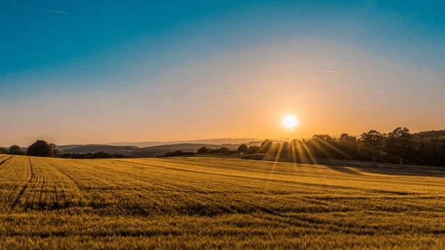 Ilustrasi Pengeringan dengan menggunakan sinar matahari dinamakan sun drying (Foto: Federico Respini | Unsplash.com)