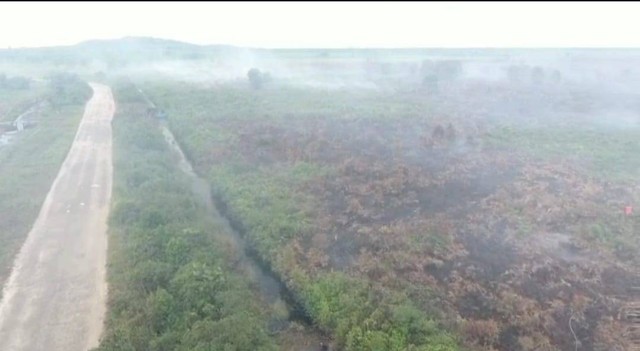 Kebakaran lahan di Desa Pasir Mempawah. Foto: Dok. Istimewa