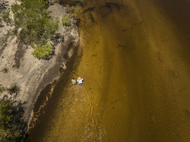 Louis Vuitton kerja sama dengan People For Wildlife untuk lestarikan keanekaragaman hayati di Cape York, Australia. Foto: People for Wildlife/Derek Henderson