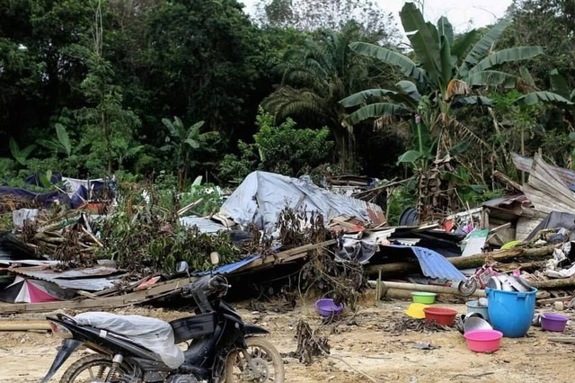 Geger Permukiman WNI Ilegal di Hutan Malaysia Sejak 2016, 67 Orang Ditangkap | kumparan.com