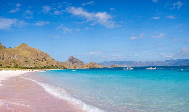  Cara ke Pink Beach Lombok dengan Mudah, Foto Unsplash/Mitch Hodiono