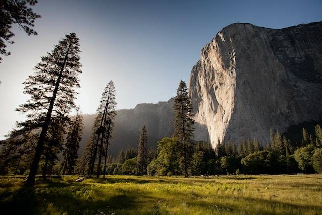 Jelaskan mengenai penyebab keberagaman dilihat dari perbedaan kondisi alam. Sumber; unsplash.com