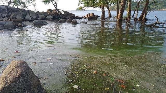 Kondisi air laut di pantai pelawan diduga tercemar limbah minyak. Foto: Istimewa