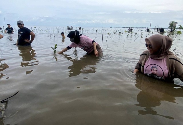 Srikandi Ganjar Sulsel bersama warga saat melakukan penanaman bibit mangrove di kawasan Wisata Mangrove Lantebung, Kota Makassar, Rabu (15/2). Foto: Dok. Istimewa