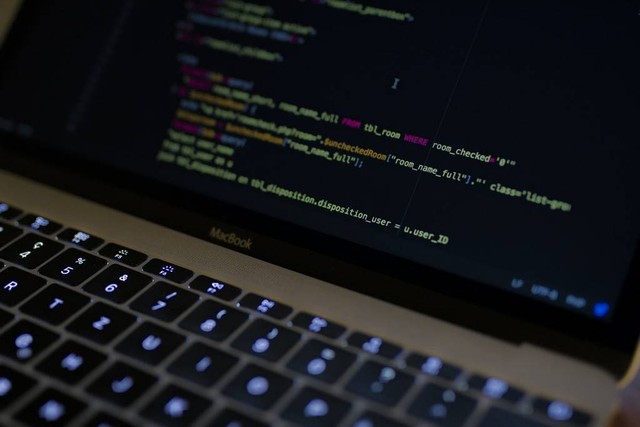 Ilustrasi seorang full stack developer. Foto: Unsplash.com/Caspar Camille Rubin