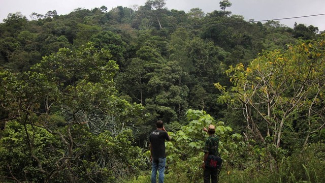 Kawasan yang diusulkan sebagai hutan adat oleh Mukim Beungga, Pidie, Aceh. Foto: dok. warga 