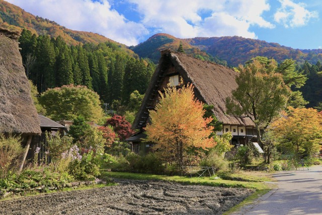 Tempat Aesthetic di Jepang-Gokayama/Pexels/稲垣 雅治