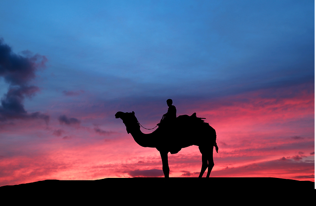 Ilustrasi rasul yang diangkat Allah SWT. Foto: Pixabay/Rauschenberger