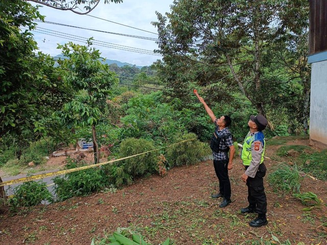 Petugas memasang garis polisi di sekitar pohon kedondong tempat korban jatuh dan tewas. (ist)