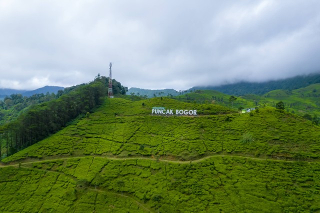 Tempat Santai di Puncak Bogor, Foto: Unsplash/Ammar Andiko