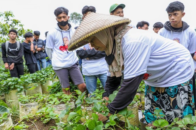 Ilustrasi ecofarming. Foto: Dok. Istimewa