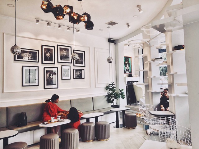 Ilustrasi Cafe untuk Reuni di Bekasi yang Asyik. Foto: Unsplash/Van Thanh.