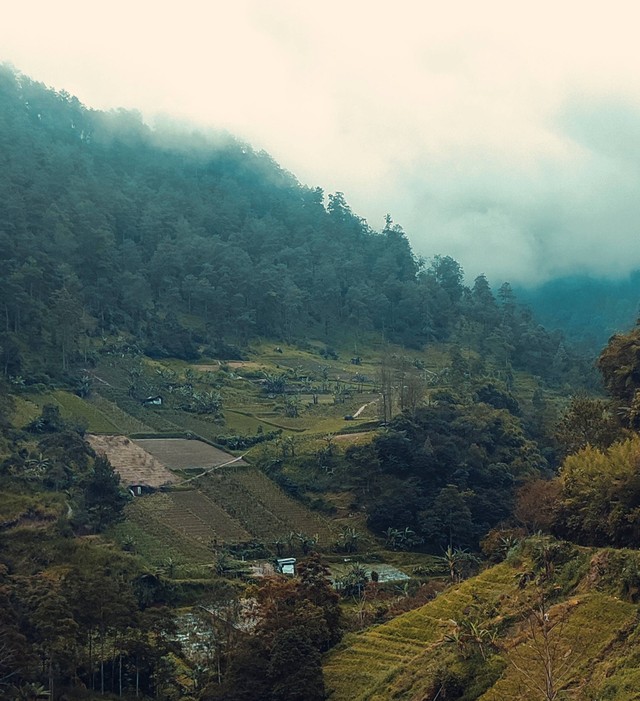 Puisi Cara Menikmati Alam: Ingatan Setipis Kabut | Kumparan.com