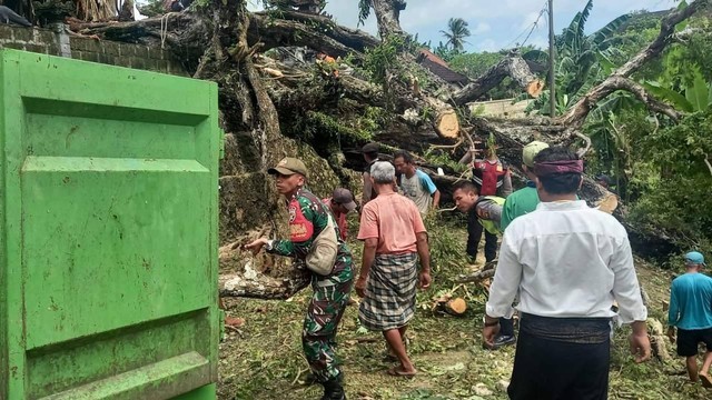 Aparat Babinsa, Bhabinkamtibmas dan warga di Pura Puseh, melakukan pembersihan akibat tumbangnya pohon asem berusia ratusan tahun di Desa Adat Dwi Kukuh Lestari, Dusun Penangkidan, Kecamatan Nusa Penida, Kabupaten Klungkung. Foto: Dandim 1610/Klungkung