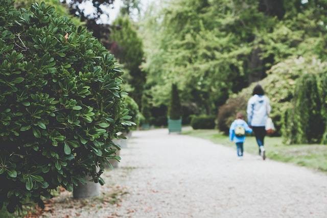 Ilustrasi kata kata untuk ibu yang hebat, Foto oleh Laurent Peignault di Unsplash