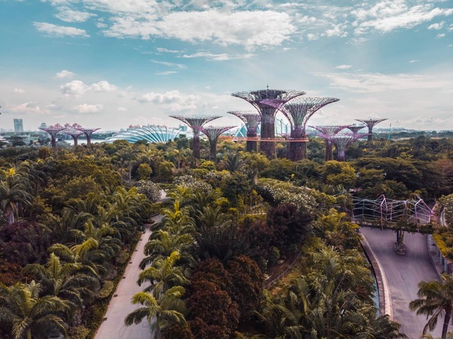 Ilustrasi Negara, Letak Bujur, Letak Lintang, Iklim (Foto: Victor | Unsplash.com)