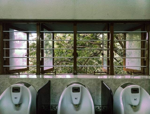 Ilustrasi Jelaskan Hubungan antara Produksi Urine dengan Zat-zat Antidiuretika!, Foto Unsplash Syed Umer