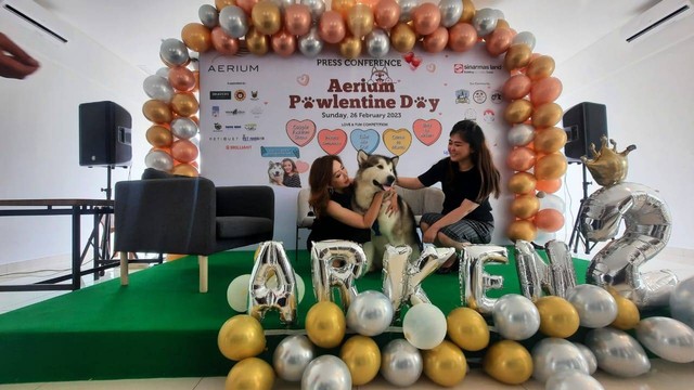 Apartemen Aerium menyelenggarakan Pawlentine Day pada pada 26 Februari 2023 di Taman Permata Buana, Jakarta Barat. Foto: Sinar Mas Land