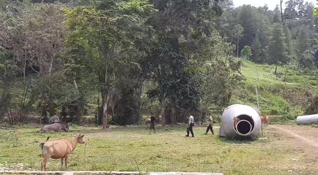 Kerbau seruduk warga di Upacara Rambo Solo di Buntu Limbong, Lembang Pemanukan, Kecamatan Gandangbatu Sillanan (Gandasil), Tana Toraja, Minggu (26/2/2023). Foto: Dok. Istimewa