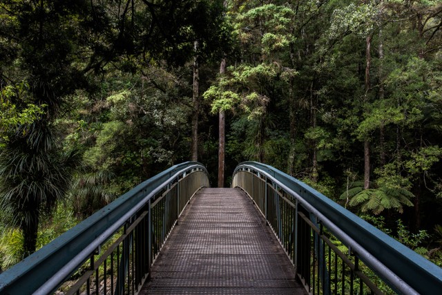  Puisi tentang Menjaga Alam sebagai Nasihat, Foto Unsplash/Tim Swaan