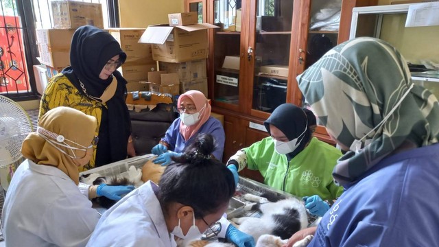 Petugas saat memberikan layanan klinik kesehatan hewan secara gratis. | Foto : UPTD Balai Pelayanan Kesehatan Hewan, Kesehatan Masyarakat Veteriner dan Laboratorium Pakan Lampung.