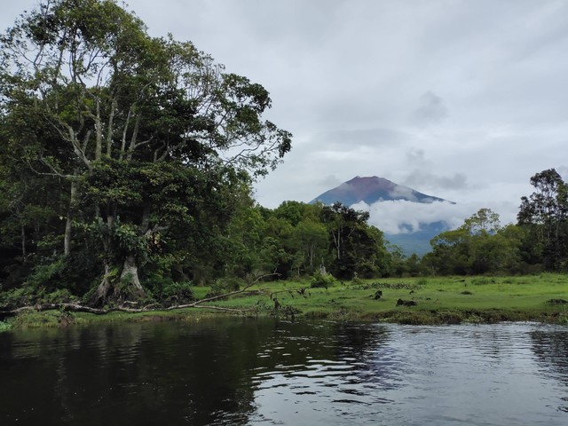 Ilustrasi Tempat Wisata di Jambi yang Wajib Dikunjungi. Foto: Unsplash/i_qon.