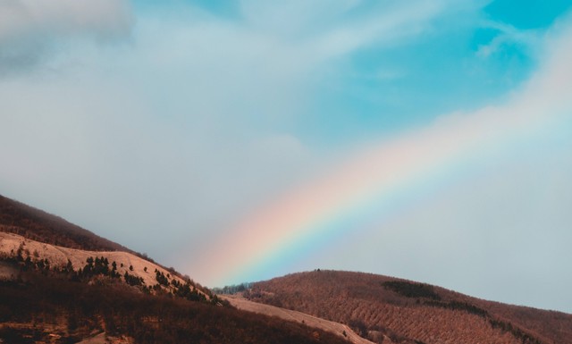 Ilustrasi Tempat Wisata Alam di Pekanbaru. Foto: Unsplash/concretelies_photography.