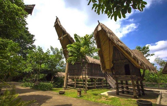 Rumah adat tongkonan suku Toraja (dokumen pribadi)