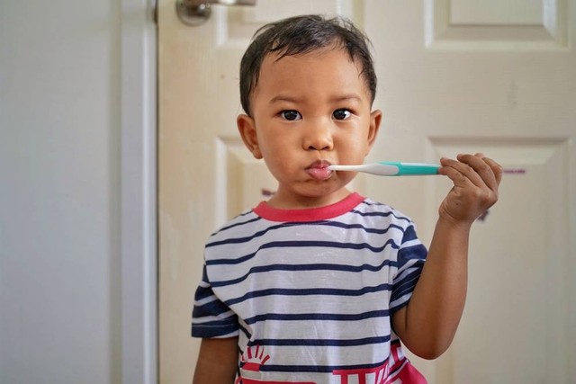 Ilustrasi anak sikat gigi. Foto: Shutterstock