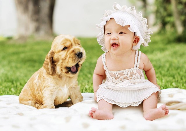 Ide flirty jokes dari hewan. Sumber foto: pixabay