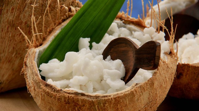 Ilustrasi kelapa kopyor. Foto: Ariyani Tedjo/Shutterstock. 