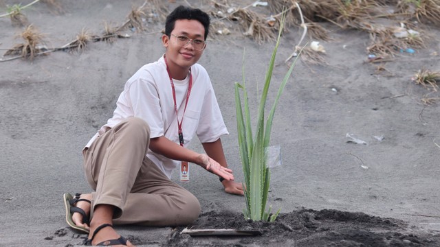 Salah satu peserta dari Foreign Policy Community of Indonesia Universitas Islam Indonesia (FPCI UII) sedang melakukan penanaman pandan laut di Pantai Pelangi, Yogyakarta. 