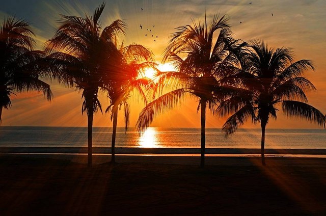  Ilustrasi Pantai di Malang yang Bagus untuk Sunset | Foto: Pixabay/rujhan_basir
