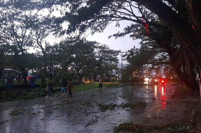 Warga membersihkan sisa pohon tumbang di jalanan Kendari. Foto: kendarinesia