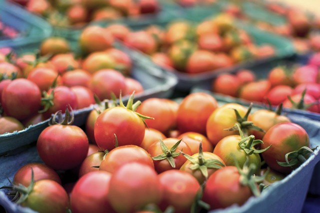 Ilustrasi Cara Menanam Tomat dari Biji. Sumber: Pixabay