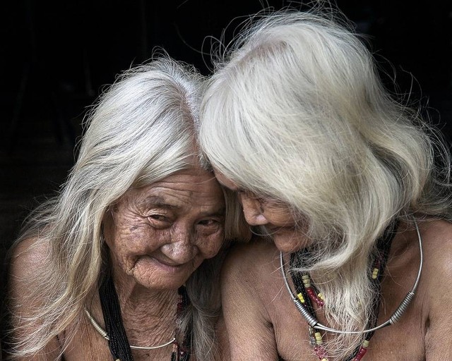 https://pixabay.com/id/users/thuyhabich-6663646/ - putih di atas kepala