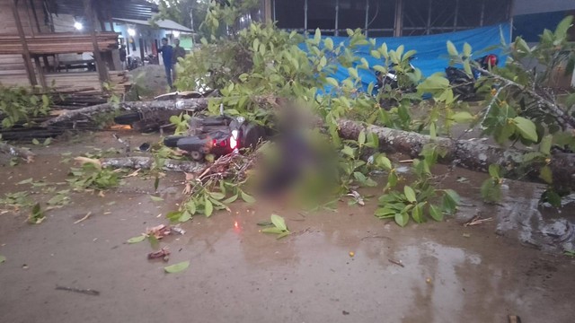 Korban saat tertimpa dahan pohon beringin di Konawe. Foto: Ist