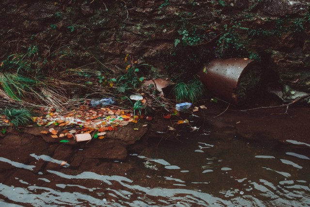 Ilustrasi Sampah di SungaiPhoto by Lisa Fotios on Pexel