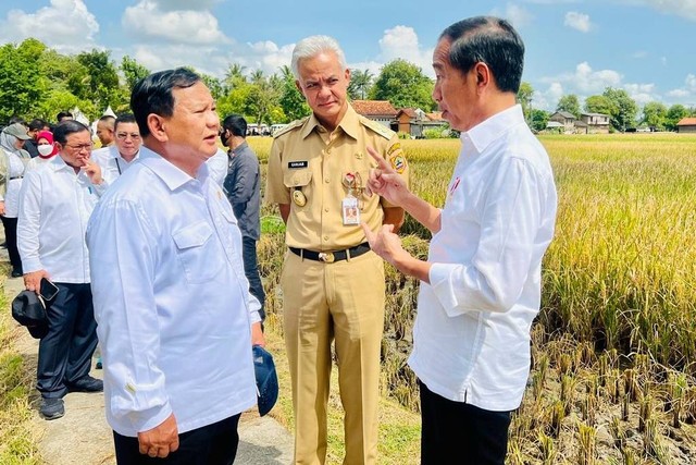 Presiden Jokowi didampingi Menhan Prabowo Subianto dan Gubernur Jateng Ganjar Pranowo saat meninjau panen raya padi di Desa Lajer, Kecamatan Ambal, Kabupaten Kebumen, Jawa Tengah, Kamis (9/3/2023). Foto: Laily Rachev/Biro Pers Sekretariat Presiden