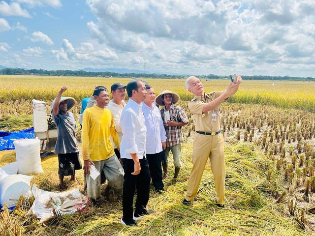 Presiden Jokowi didampingi Menhan Prabowo Subianto dan Gubernur Jateng Ganjar Pranowo saat meninjau panen raya padi di Desa Lajer, Kecamatan Ambal, Kabupaten Kebumen, Jawa Tengah, Kamis (9/3/2023). Foto: Laily Rachev/Biro Pers Sekretariat Presiden