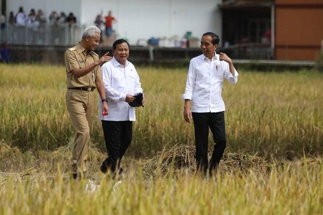 Presiden Joko Widodo bersama Menhan Prabowo Subianto dan Gubernur Jateng Ganjar Pranowo meninjau panen raya di Kebumen, Jawa Tengah, Kamis (9/3/2023).  Foto: Instagram/@ganjar_pranowo