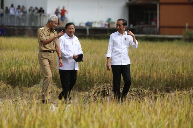 Presiden Joko Widodo bersama Gubernur Jateng Ganjar Pranowo dan Menteri Pertahanan Prabowo Subianto saat meninjau panen raya padi di Desa Lajer, Kecamatan Ambal, Kabupaten Kebumen, Jawa Tengah. Foto: Dok. Istimewa