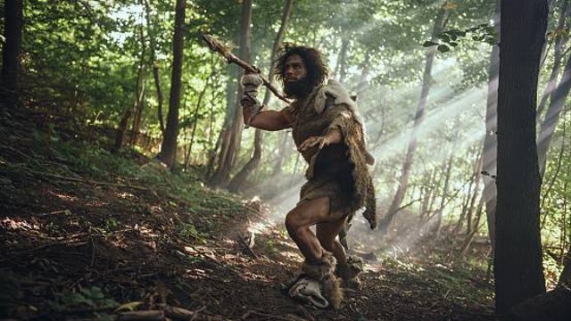 Penemuan dan Peradaban Zaman yang Didukung oleh Homo Soloensis dan Homo Wajakensis                             Foto:Unsplash