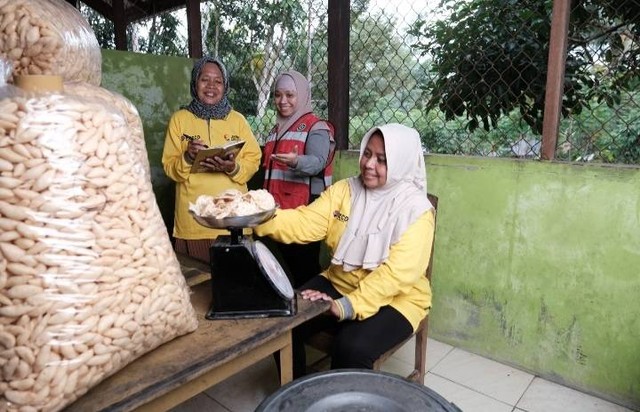 Karyawati Kideco tengah melakukan pendampingan terhadap kelompok tani wanita binaan PT Kideco Jaya Agung, dalam pembuatan makanan ringan kemasan Amplang. Foto: Istimewa